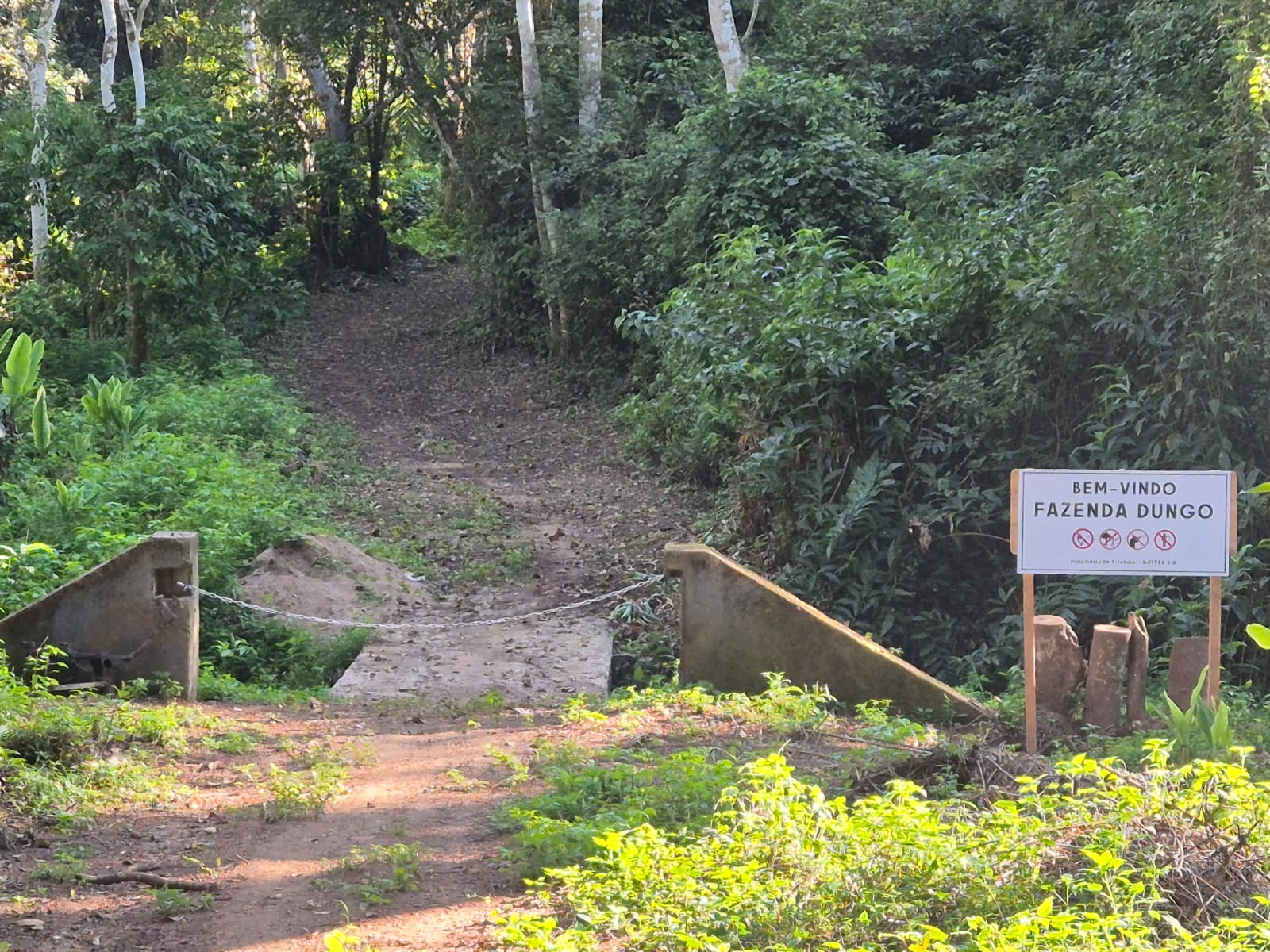Conexões Vitais