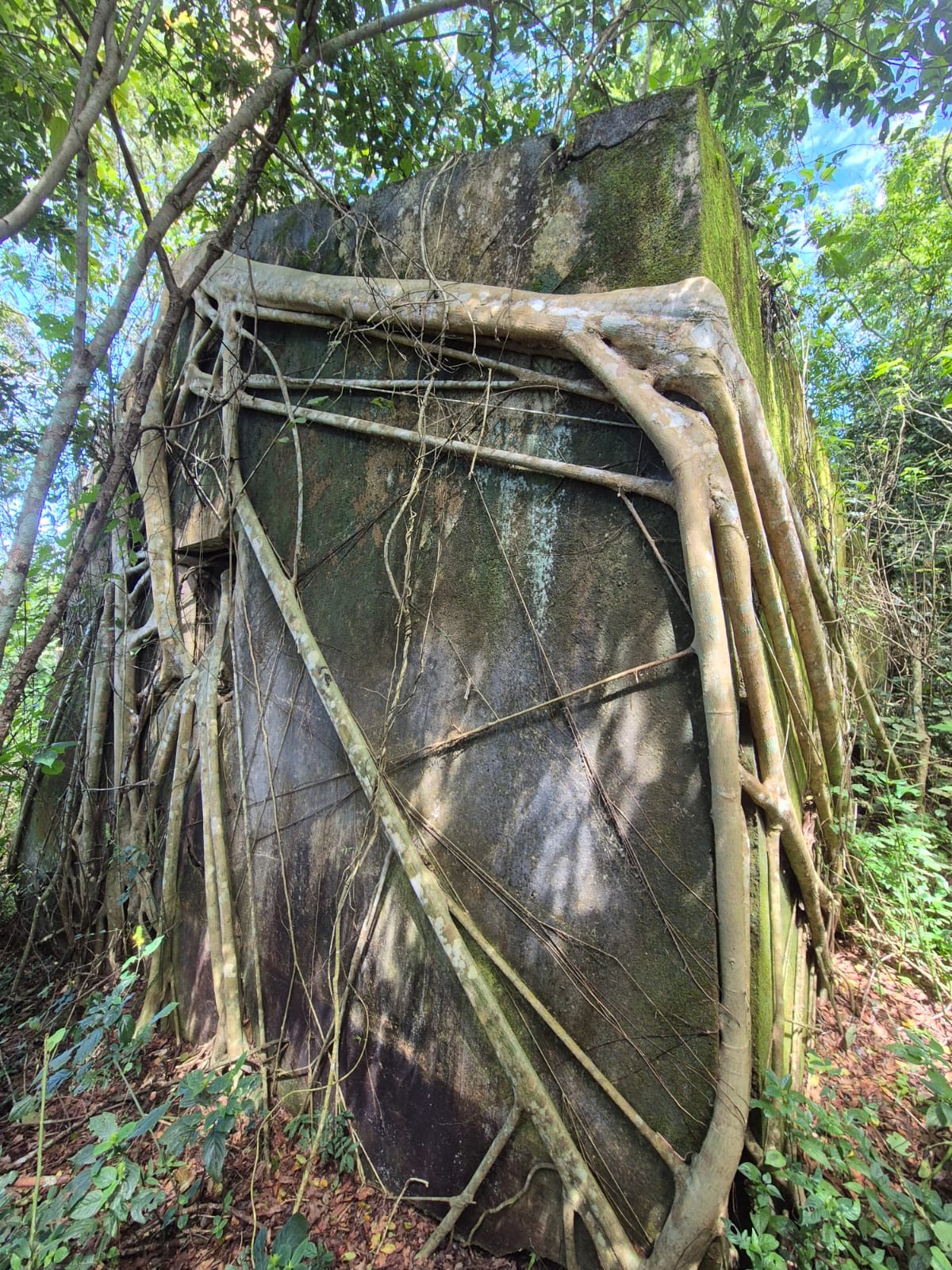 O Tempo e a Natureza