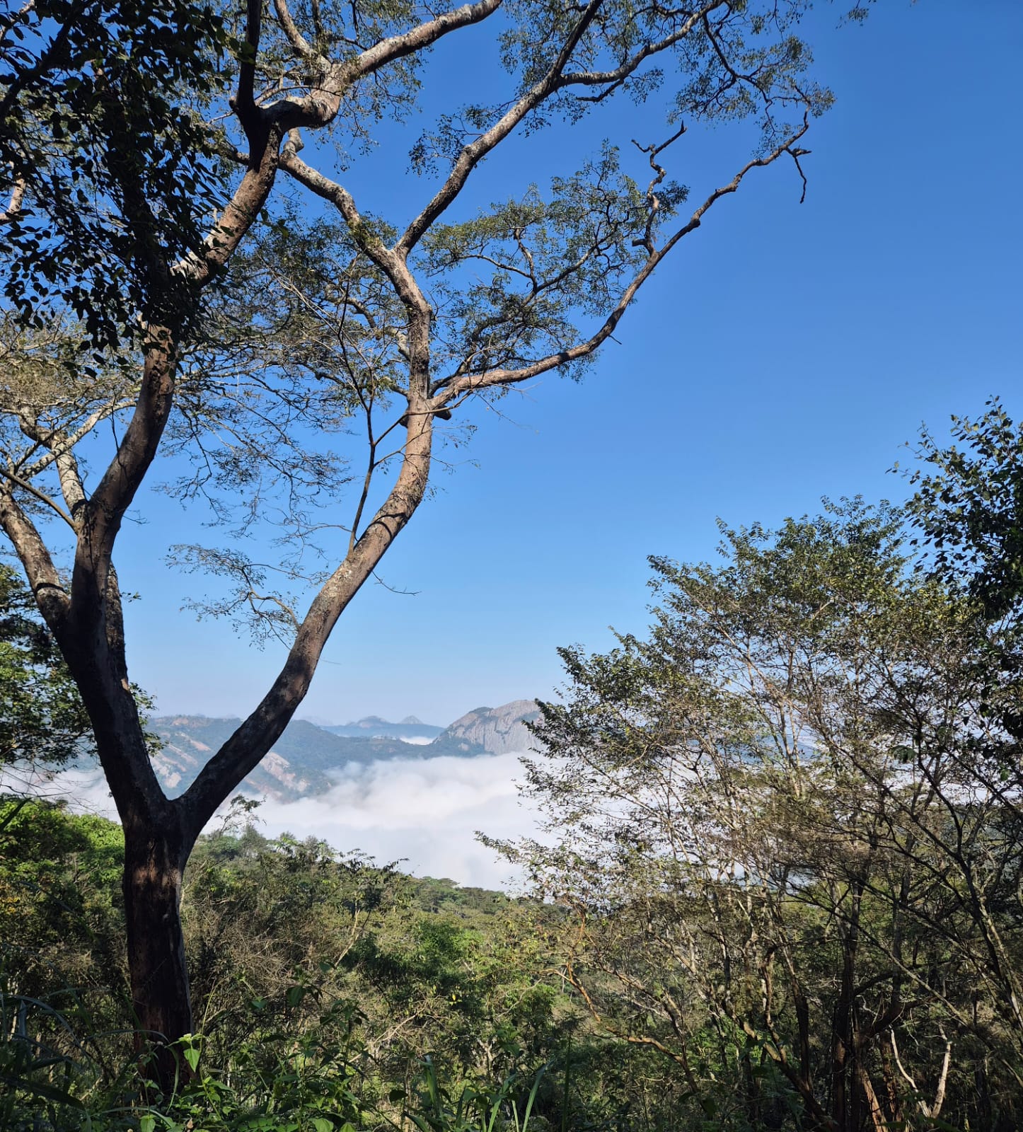 O Terroir do Amboim