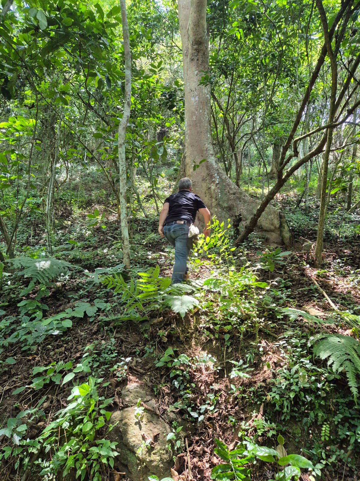 Harmonia com a Natureza