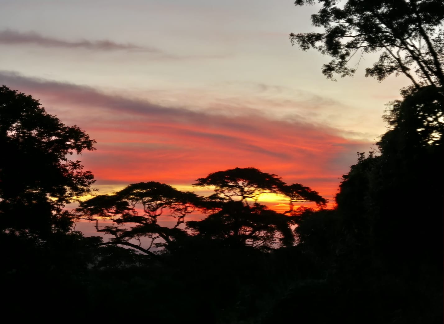 Fim de Tarde